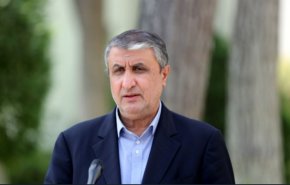 رئيس الطاقة الذرية الايرانية: لن ندع أي إجراء ضدنا دون رد