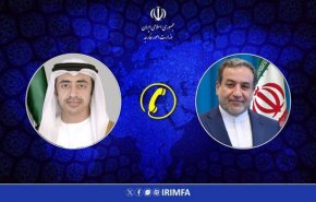 وزير خارجية الامارات يدين بشدة هجمات الكيان الصهيوني على إيران
