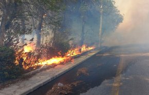 دمشق تحت وطأة النيران: تصاعد أعمدة الدخان حول قصر الشعب