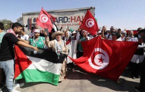 تونس.. بدء التحضير لـ