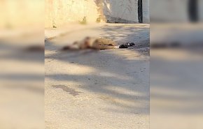 قوات الاحتلال تطلق النار على فلسطيني ثم تدهسه بآلية عسكرية بجنين +صور 