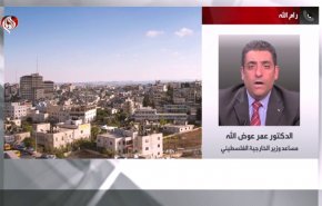 الخارجية الفلسطينية: التقاعس الدولي يغذي جرائم الاحتلال في غزة