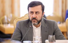 غریب آبادی: در نشست استانبول مواضع خود را درباره مکانیسم ماشه مطرح خواهیم کرد + فیلم