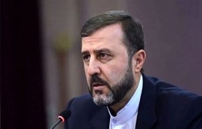 غریب‌آبادی: تیم فنی آژانس به ایران خواهد آمد