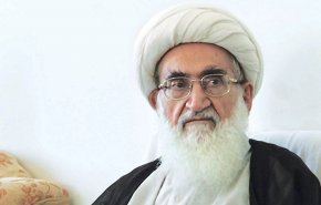  آیت الله نوری همدانی: فاجعۀ غزه، آزمونی تاریخی برای جهان اسلام است