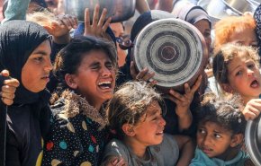  کشورهای مختلف خواستار پایان فوری نسل‌کشی و رفع محاصره غزه شدند