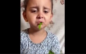 شاهد/مشهد صادم لطفلة من غزة تأكل أوراق الشجر لشدة الجوع