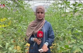 الإحتلال يجفف الضفة: حرب على المياه والزراعة في بيت دجن!