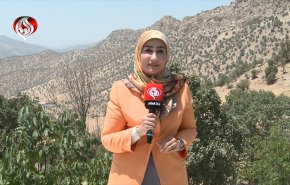 محافظة إيلام تجمع بين إرث عريق وحياة طبيعية نابضة