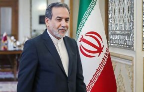 وزير الخارجية يدعو اليابان للانضمام إلى حركة دولية.. ما هي؟