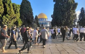 الفصائل الفلسطينية: اقتحامات الأقصى تمثّل تدنيسًا خطيرًا وتصعيدًا ممنهجًا