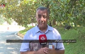 آخر تطورات بحث حصر سلاح المقاومة بيد الدولة اللبنانية