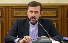 گزارش غریب‌آبادی از سفر هیات آژانس بین‌المللی انرژی اتمی به ایران