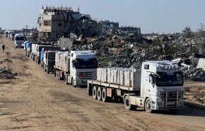 100 منظمة دولية: 