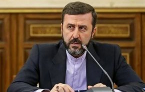 واکنش معاون وزارت امور خارجه به حمایت نایب‌رئیس دیوان بین‌المللی دادگستری از اسرائیل