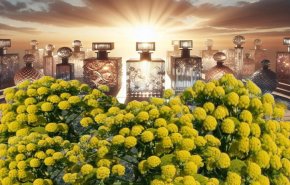 نبات نادر في محافظة إيرانية يغير قواعد سوق العطور العالمية!