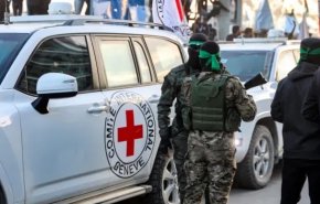 نیمی از امدادگران دنیا در غزه کشته شده‌اند