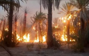 خسارات سنگین آتش‌سوزی‌ها به پنج کشور عربی