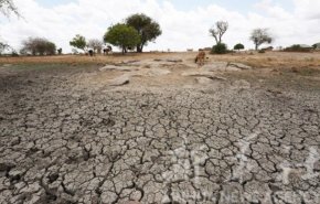 وای نت: بی آبی در اسراییل هزاران هکتار زمین کشاورزی را نابود کرده است