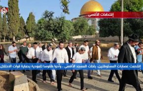 إقتحامات الأقصى.. طقوس إستفزازية تمهّد لمخططات تهويدية خطيرة!