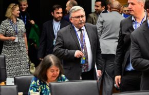 اولیانوف: ایران بار دیگر نشان داد شریک مسئول آژانس است