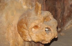  بعد 60 عاما من الغموض.. كشف اسرار 'جمجمة الوحش'
