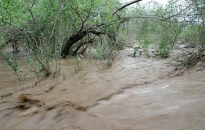 مقتل 1000 شخص بانهيار أرضي في غرب السودان