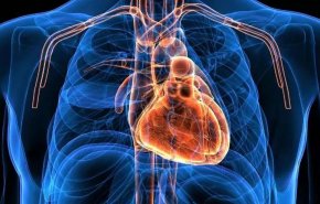 تعرف على تأثير الإجهاد المزمن على عمل القلب