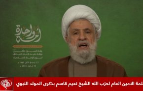 الشيخ قاسم للدول العربية: إذا أزال الاحتلال المقاومة فسيكون دوركم التالي