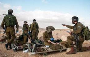 'بق الفراش' يفتك بجنود الاحتلال ويتسبب بنشر أمراض جلدية خطيرة!