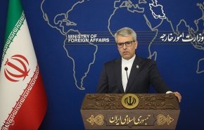 بقائي: على الدول الإسلامية قطع أو تعليق علاقاتها مع تل أبيب