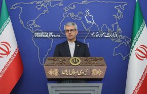 بقائي: الاحتلال يرتكب إبادة جماعية في غزة وداعموه شركاء فيها