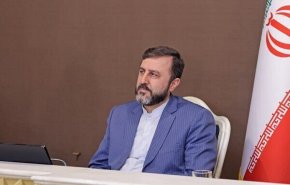 غریب‌آبادی: پیام و پیشنهاد وزیر خارجه، نظر نظام جمهوری اسلامی ایران است