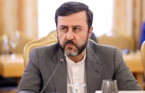 غريب آبادي يرد على مزاعم رئيس فرنسا إيمانويل ماكرون