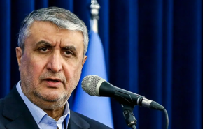 اسلامی: ایران به گفتگو متعهد است/ آژانس باید حملات به مراکز هسته‌ای ما را محکوم می‌کرد