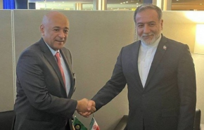 عراقچی و دبیرکل شورای همکاری خلیج فارس در نیویورک دیدار کردند