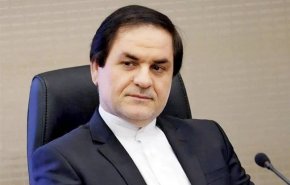 وزارت خارجه: ۱۲۰ ایرانی از آمریکا به ایران بازمی‌گردند