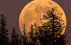 القمر العملاق.. ظاهرة فلكية نادرة في أكتوبر 2025