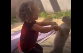 طفل فلسطيني مشرد يرقص مع قطته احتفالاً بانتهاء الحرب+فيديو