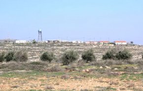 حمله شهرک‌نشینان صهیونیستی به مزارع زیتون حین برداشت محصول 