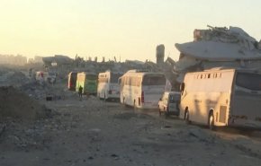 فرایند آزادی 1966 اسیر فلسطینی آغاز شد/ شماری از اسرا وارد رام الله شدند+ فیلم