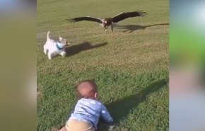 الذكاء الاصطناعي.. من الإبداع إلى الخداع