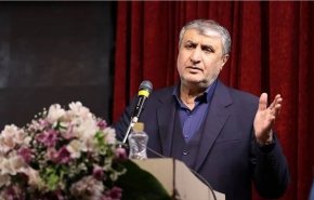 إسلامي: معيارنا للتعاون مع مفتشي الوكالة هو القانون الجديد للبرلمان