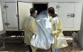 المكتب الإعلامي بغزة يعلن استلام 120 شهيدًا من الاحتلال