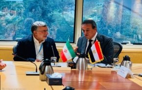 تطوير التعاون بين إيران ومصر في مجالات الطب والصحة