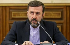 پیام غریب آبادی درمورد دیپلماسی ایران و همگرایی کشورهای مستقل در دفاع از حاکمیت قانون