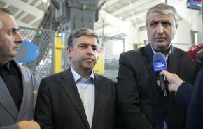 اسلامي: تقنية الإشعاع تسهم مباشرة في رفع جودة المنتجات الزراعية 