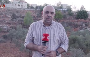 موسم الزيتون في الضفة يتحوّل إلى ساحة حرب يقودها المستوطنون!