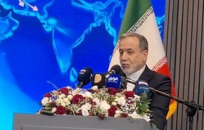 عراقچی: کمتر از ۵۰ درصد ظرفیت‌های کشورهای همسایه را مورد استفاده قرار داده‌ایم