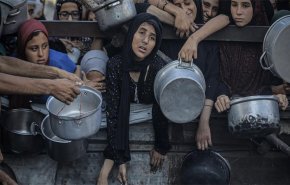 محامو ضحايا غزة ينضمون إلى مبادرة لاهاي دعمًا للعدالة الدولية